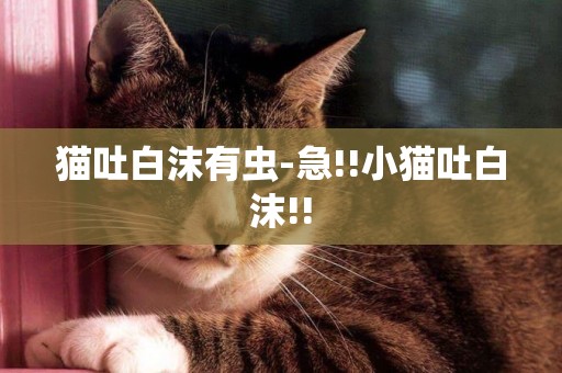 貓吐白沫有蟲-急!!小貓吐白沫!!