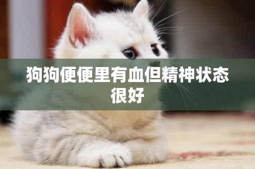 狗狗便便里有血但精神狀態很好