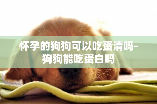 懷孕的狗狗可以吃蛋清嗎-狗狗能吃蛋白嗎
