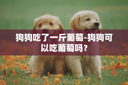 狗狗吃了一斤葡萄-狗狗可以吃葡萄嗎？