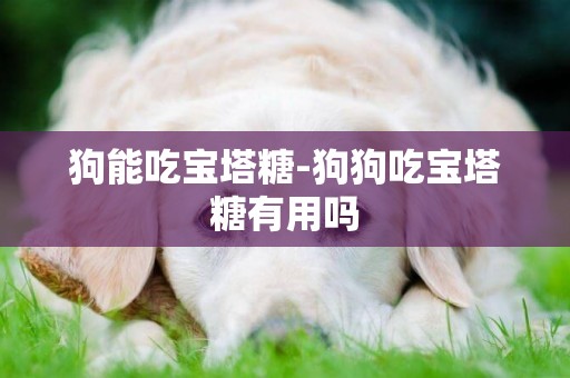 狗能吃寶塔糖-狗狗吃寶塔糖有用嗎