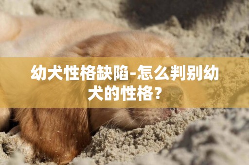 幼犬性格缺陷-怎么判別幼犬的性格？