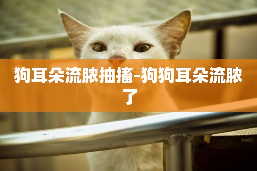 狗耳朵流膿抽搐-狗狗耳朵流膿了