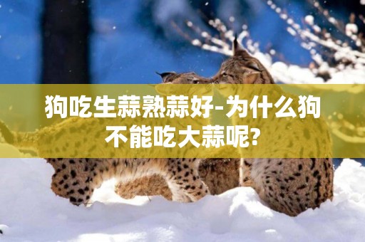 狗吃生蒜熟蒜好-為什么狗不能吃大蒜呢?
