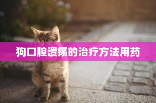 狗口腔潰瘍的治療方法用藥