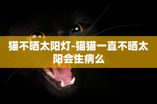 貓不曬太陽燈-貓貓一直不曬太陽會生病么