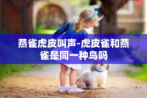燕雀虎皮叫聲-虎皮雀和燕雀是同一種鳥嗎