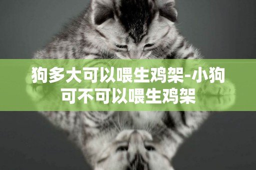 狗多大可以喂生雞架-小狗可不可以喂生雞架