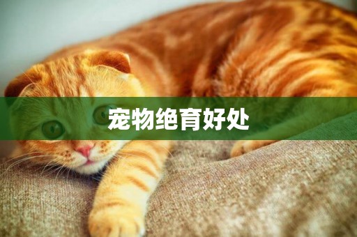 寵物絕育好處