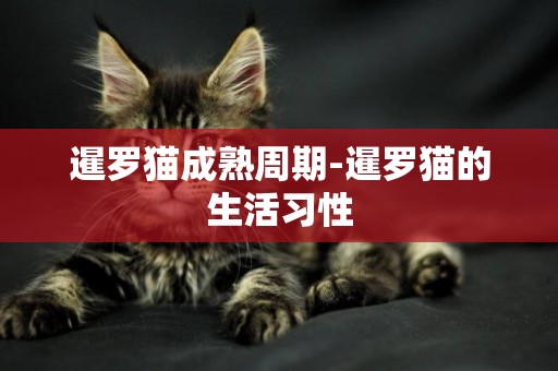 暹羅貓成熟周期-暹羅貓的生活習性