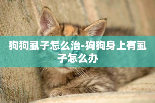 狗狗虱子怎么治-狗狗身上有虱子怎么辦
