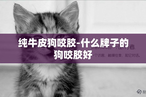 純牛皮狗咬膠-什么牌子的狗咬膠好