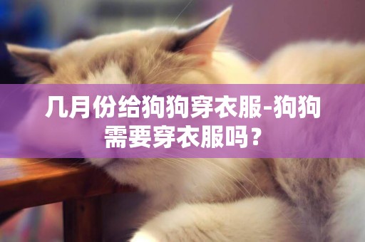 幾月份給狗狗穿衣服-狗狗需要穿衣服嗎？