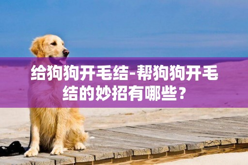給狗狗開毛結-幫狗狗開毛結的妙招有哪些？