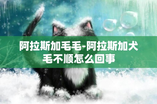 阿拉斯加毛毛-阿拉斯加犬毛不順怎么回事