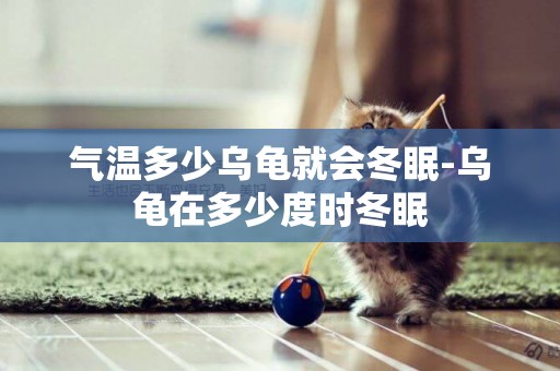 氣溫多少烏龜就會冬眠-烏龜在多少度時冬眠
