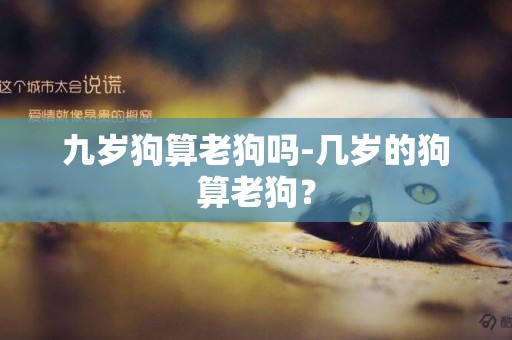 九歲狗算老狗嗎-幾歲的狗算老狗？