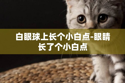 白眼球上長個小白點-眼睛長了個小白點
