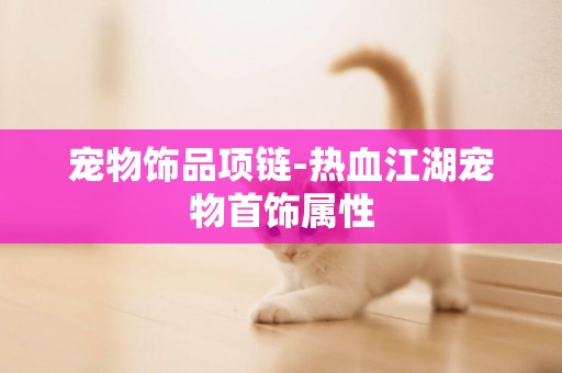 寵物飾品項鏈-熱血江湖寵物首飾屬性