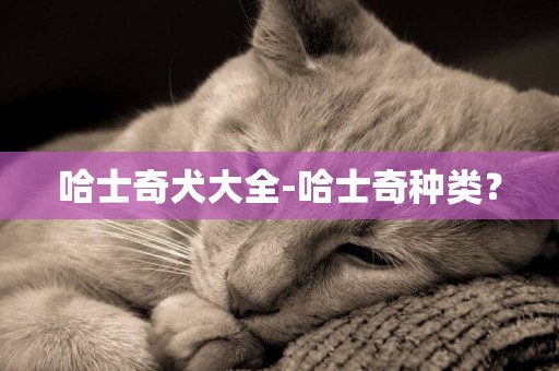 哈士奇犬大全-哈士奇種類？