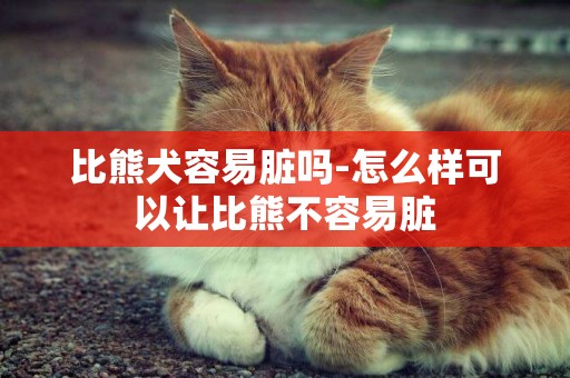 比熊犬容易臟嗎-怎么樣可以讓比熊不容易臟