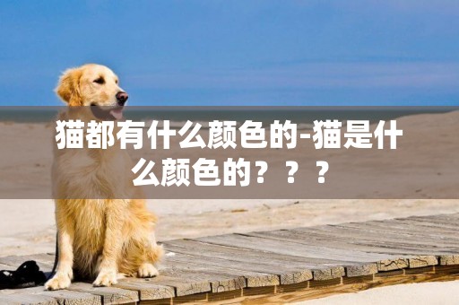 貓都有什么顏色的-貓是什么顏色的？？？