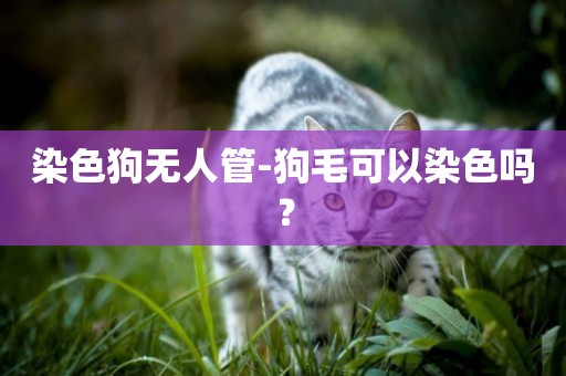 染色狗無人管-狗毛可以染色嗎？