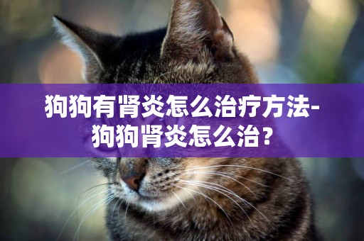 狗狗有腎炎怎么治療方法-狗狗腎炎怎么治？