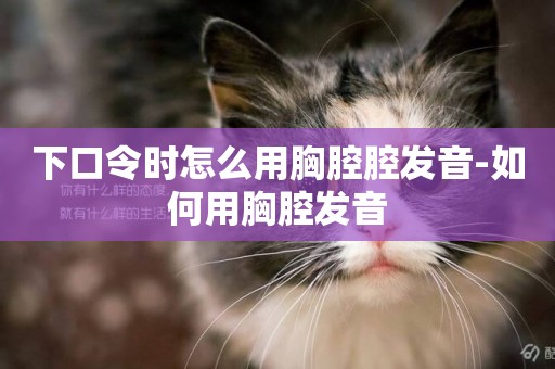 下口令時怎么用胸腔腔發音-如何用胸腔發音