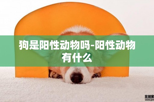狗是陽性動物嗎-陽性動物有什么