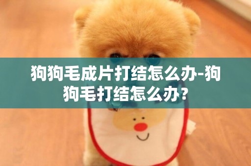 狗狗毛成片打結怎么辦-狗狗毛打結怎么辦？