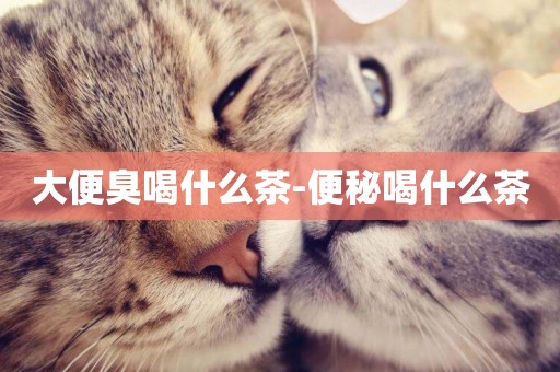 大便臭喝什么茶-便秘喝什么茶