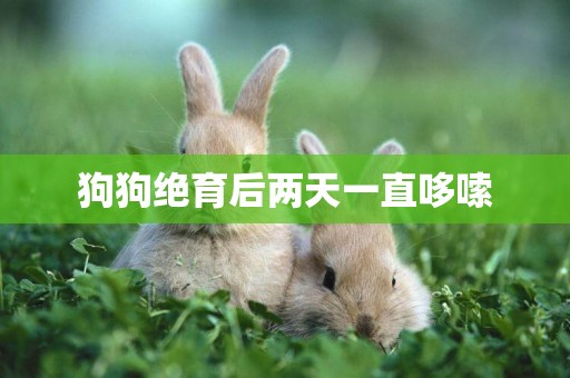 狗狗絕育后兩天一直哆嗦