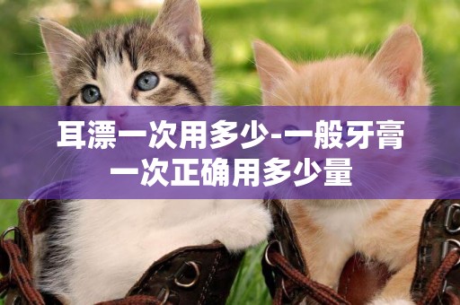 耳漂一次用多少-一般牙膏一次正確用多少量