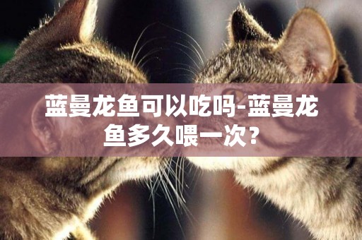 藍曼龍魚可以吃嗎-藍曼龍魚多久喂一次？