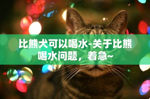 比熊犬可以喝水-關于比熊喝水問題，著急~