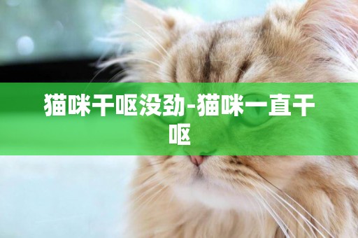 貓咪干嘔沒勁-貓咪一直干嘔