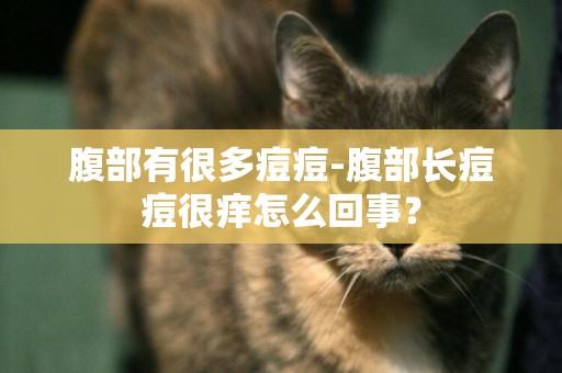 腹部有很多痘痘-腹部長痘痘很癢怎么回事？