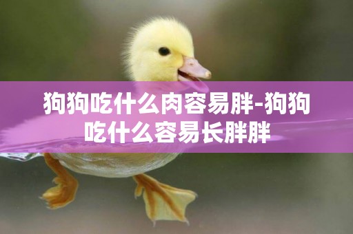 狗狗吃什么肉容易胖-狗狗吃什么容易長胖胖