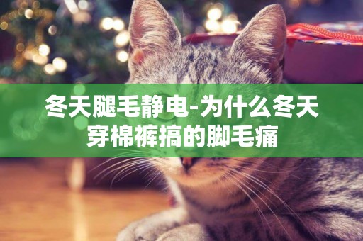 冬天腿毛靜電-為什么冬天穿棉褲搞的腳毛痛