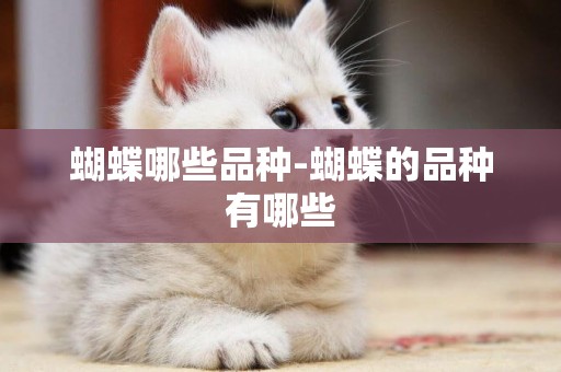 蝴蝶哪些品種-蝴蝶的品種有哪些