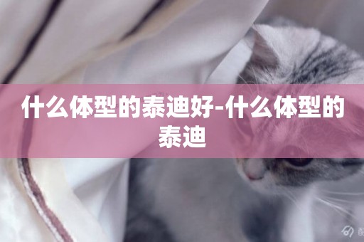 什么體型的泰迪好-什么體型的泰迪