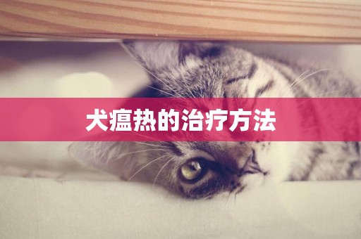 犬瘟熱的治療方法