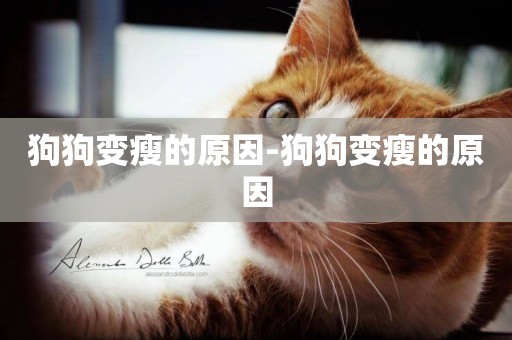 狗狗變瘦的原因-狗狗變瘦的原因