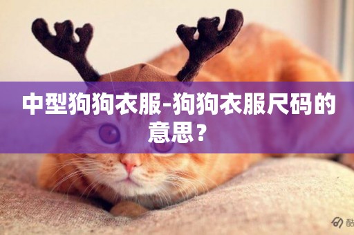 中型狗狗衣服-狗狗衣服尺碼的意思？