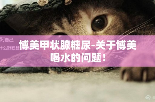 博美甲狀腺糖尿-關于博美喝水的問題！