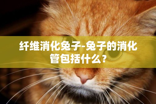 纖維消化兔子-兔子的消化管包括什么？