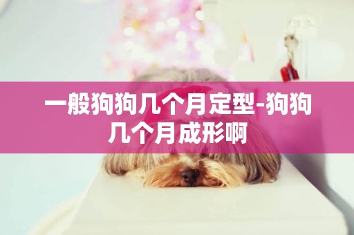 一般狗狗幾個月定型-狗狗幾個月成形啊