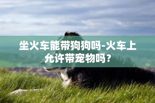 坐火車能帶狗狗嗎-火車上允許帶寵物嗎？