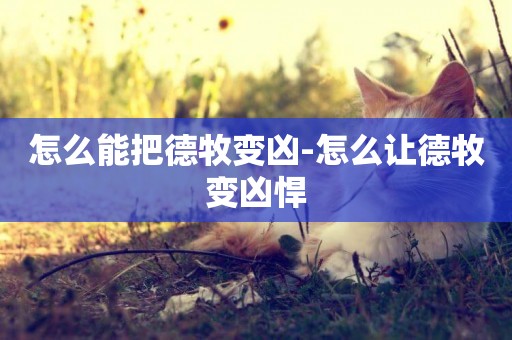怎么能把德牧變兇-怎么讓德牧變兇悍